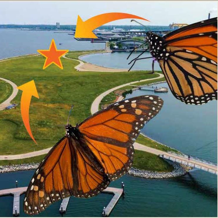 raffle-img