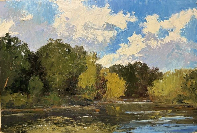 howard park plants pond.png
