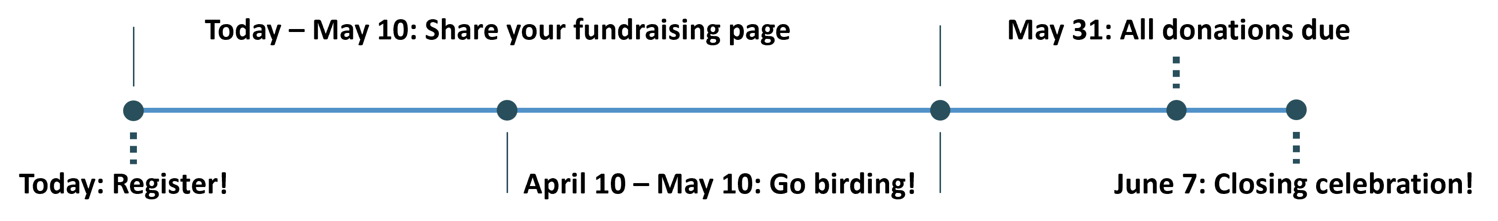 Birdathon 2026 Timeline_r2.png