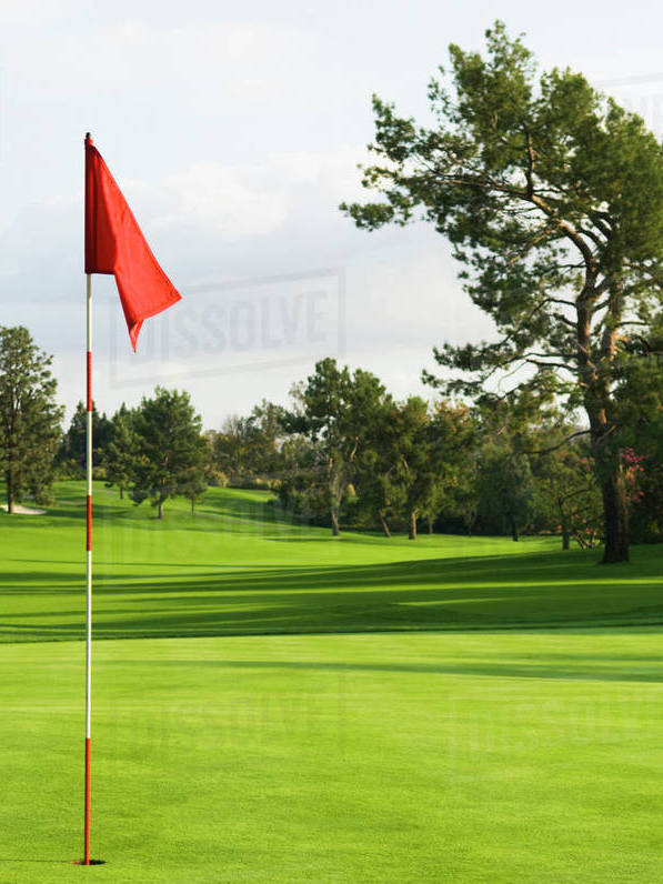 course flag pic.jpg