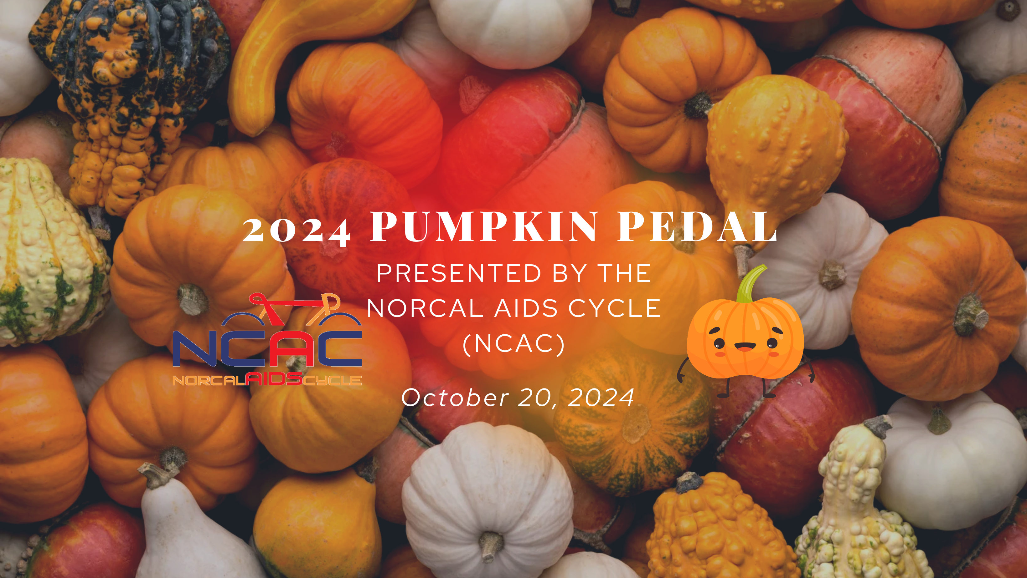 Minimalist Photo Pumpkin Day Facebook Cover (2024).png