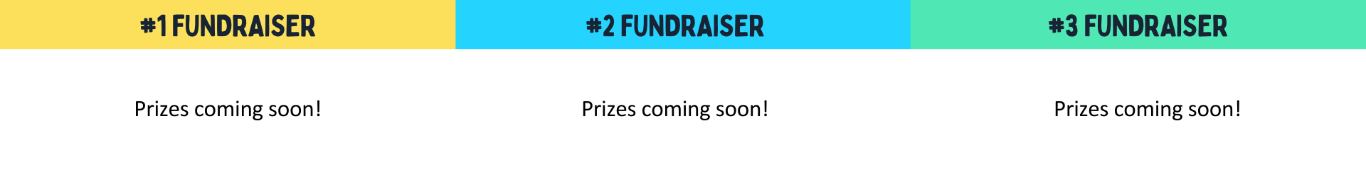 Fundraising Prizes.png