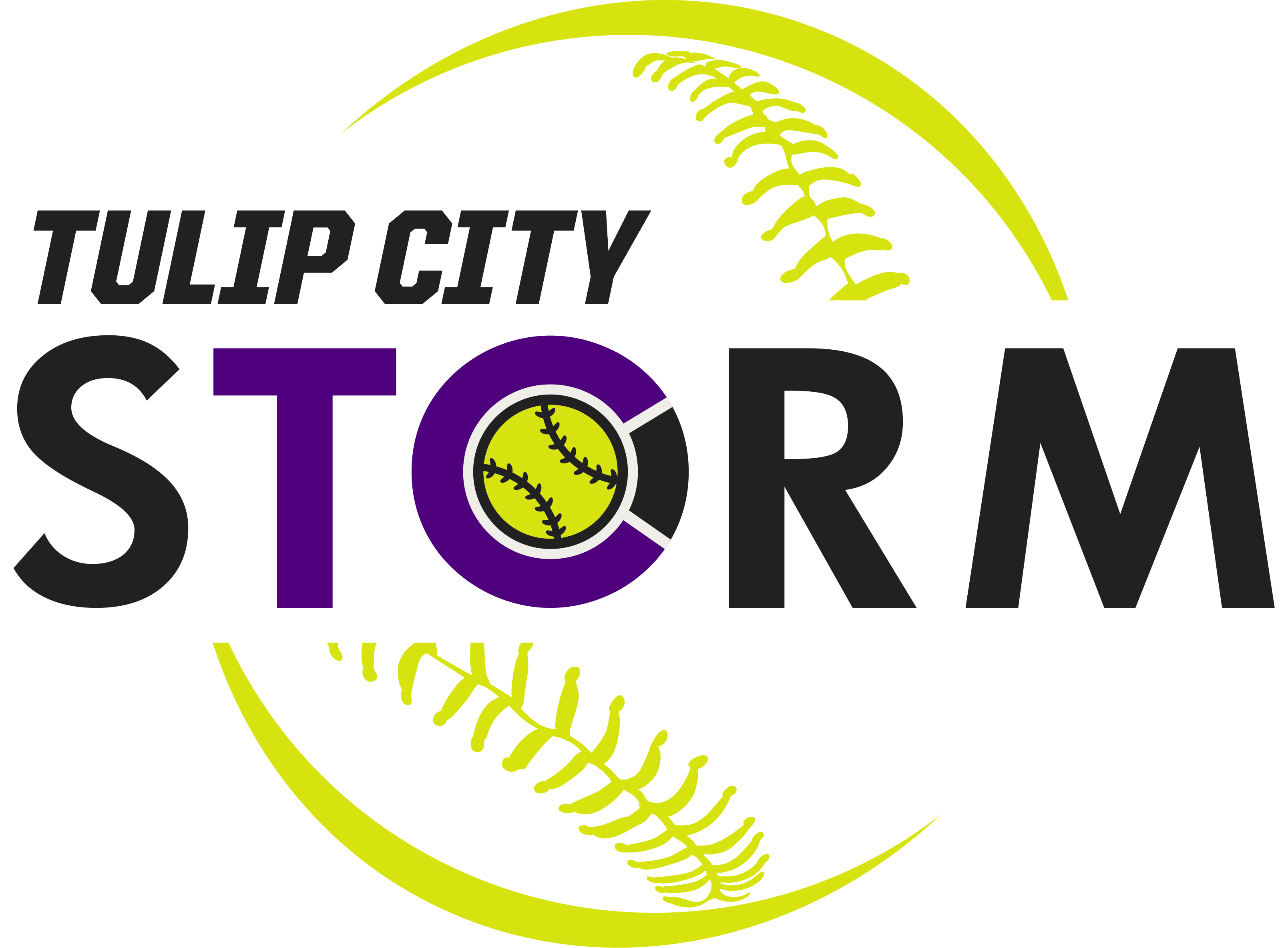 19955-Tulip City Storm Softball Across Ball Line Art.png