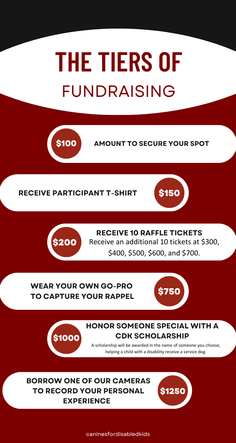 Copy of Fundraising Tiers.png