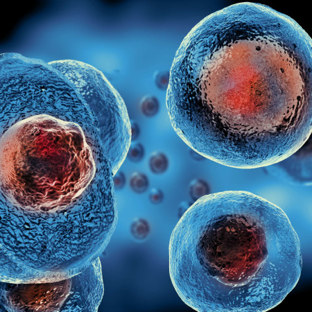Image for AQA GCSE Bio Unit 1 (Cells) Pack