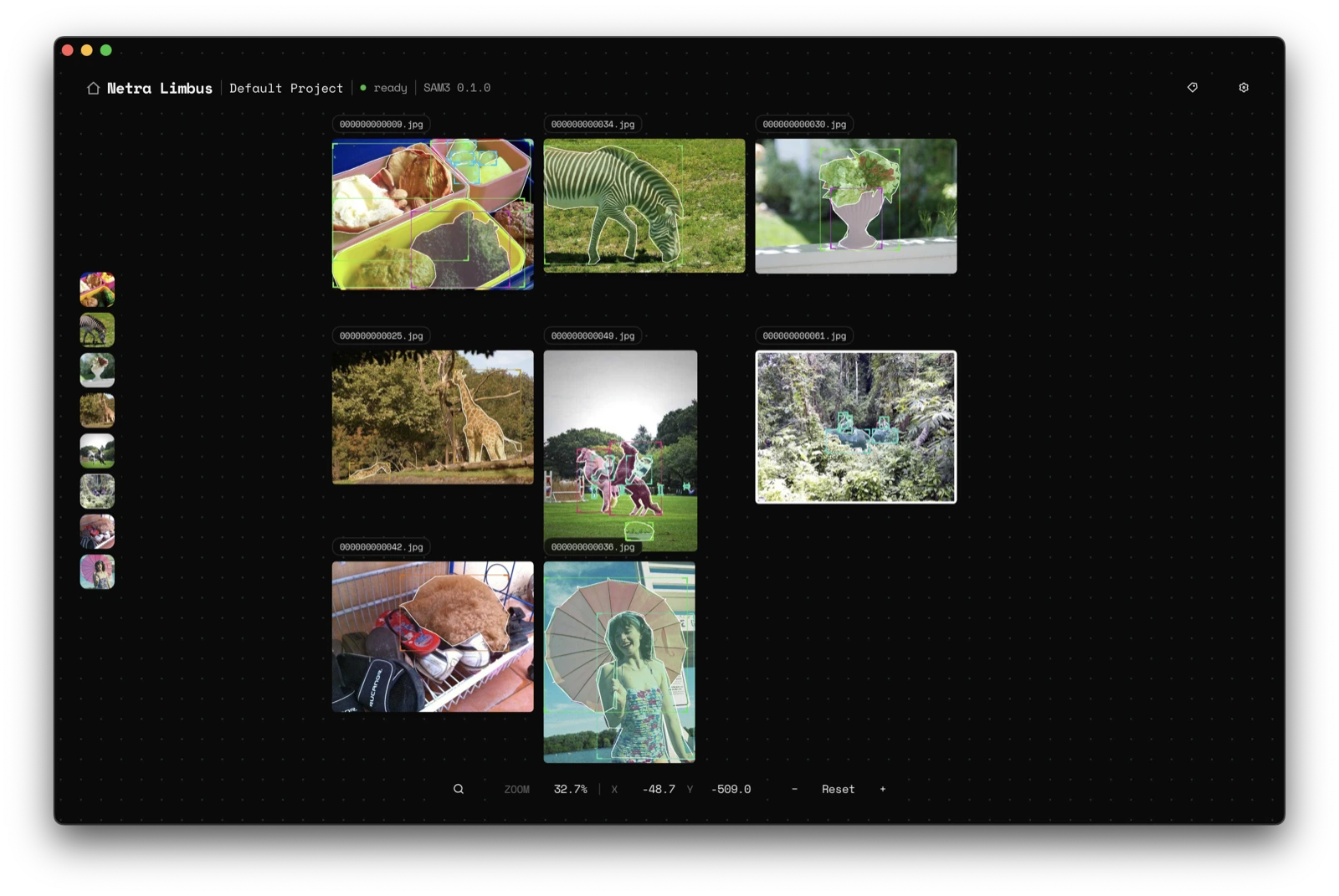 Netra Limbus infinite canvas with segmentation masks