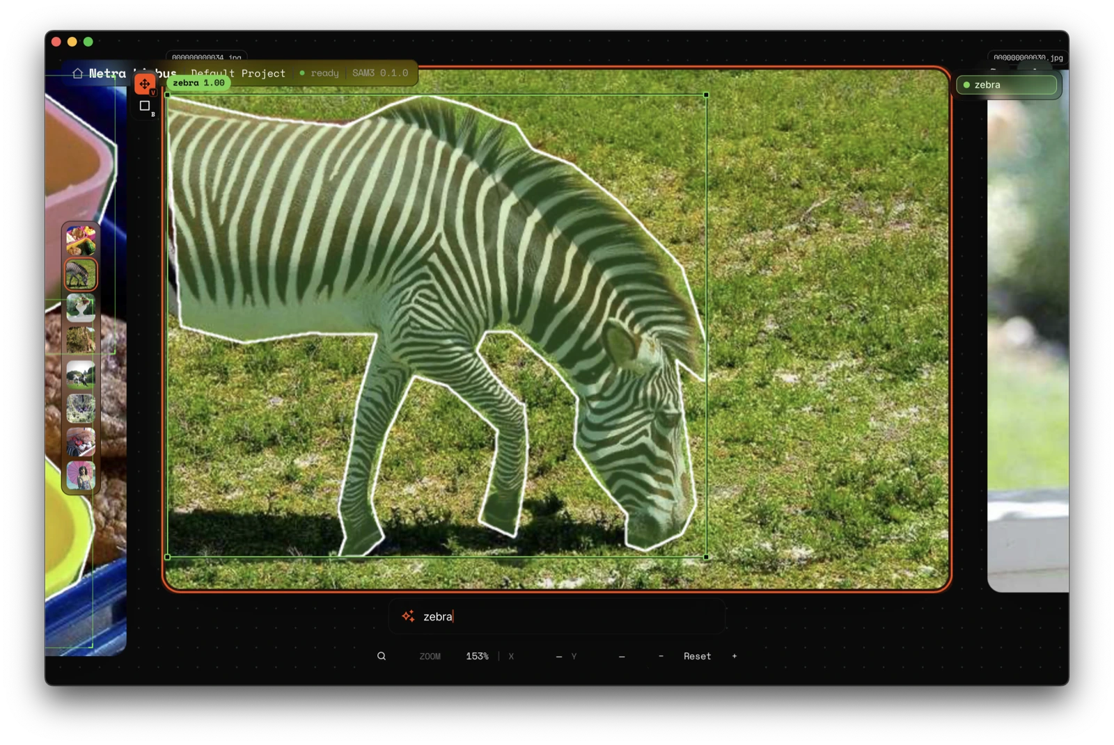 Text-prompted segmentation of a zebra in Netra Limbus