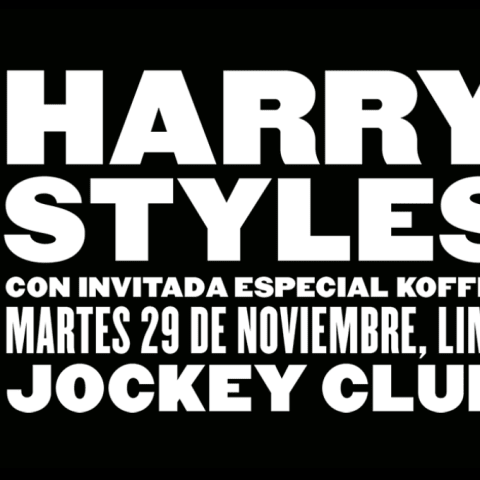 Harry Styles - Love On Tour