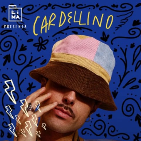 Cardellino en Lima