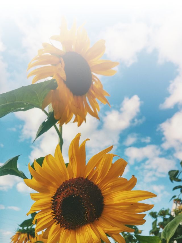 autumn-mott-rodeheaver-gCduzLmwFYM-unsplash