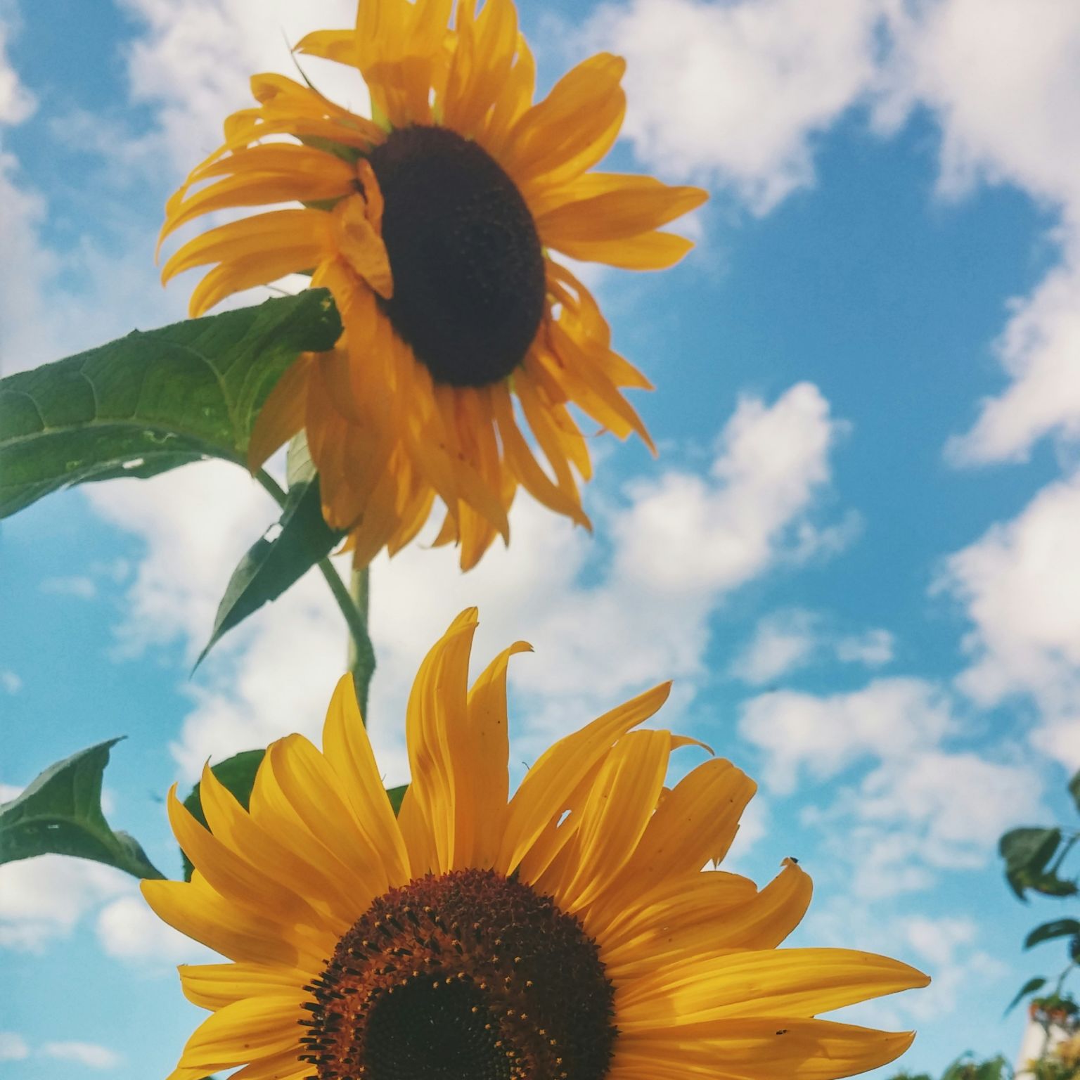 autumn-mott-rodeheaver-gCduzLmwFYM-unsplash