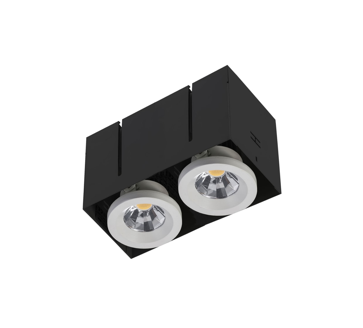 1606 Lisetta Sc Led