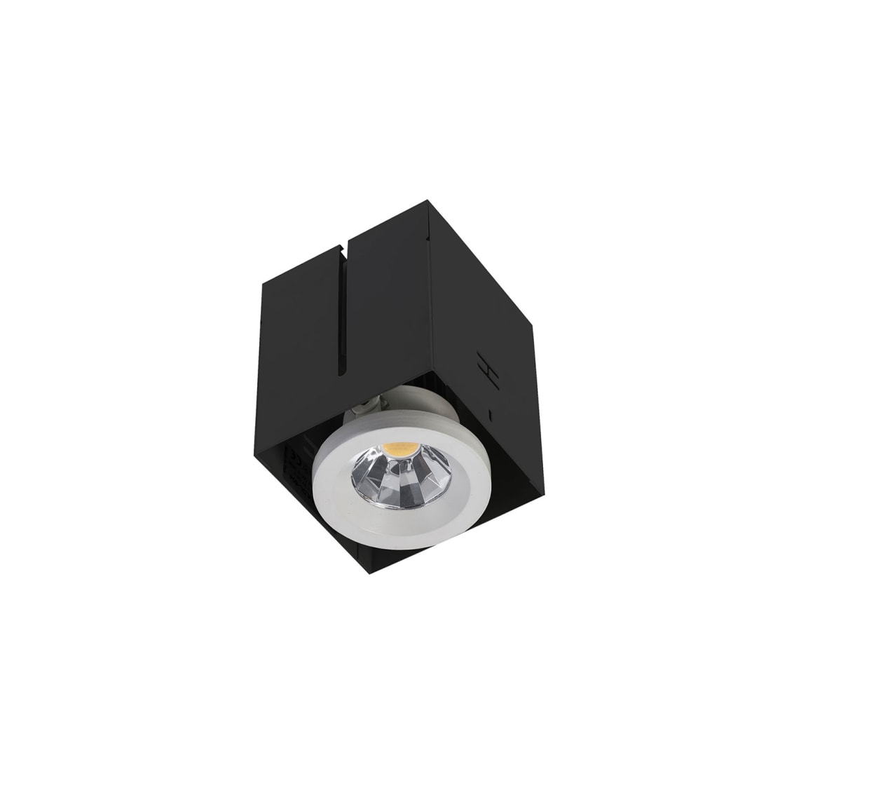 1604 Lisetta Sc Led