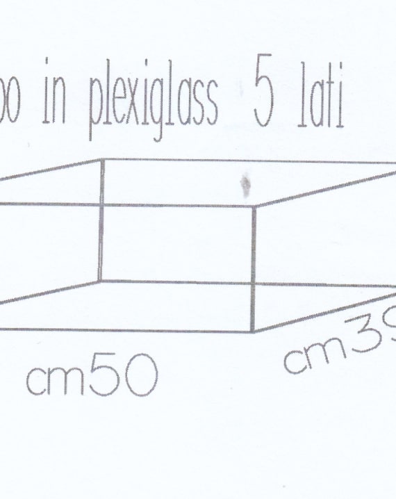 CUBO IN PLEXIGLASS TRASPARENTE CM 50X39X18H. SPESS 5MM MISURE SPECIALI A RICHIESTA