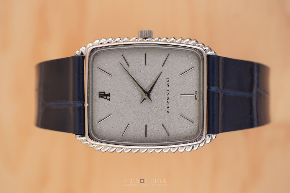 audemars piguet case