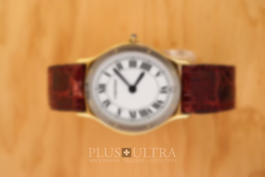 Cartier Deux Ors Ellipse: Rare Ladies Classic Santos-Arcade