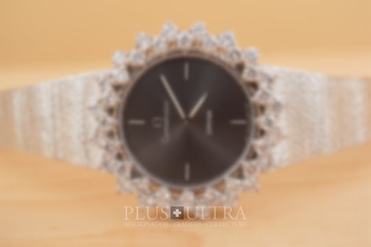 Omega Ladies Constellation: Diamonds & Sunburst Dial