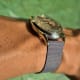 Bulova Accutron: Rare & Important & Early pre-SpaceView