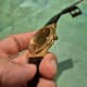 Eterna Matic 3003, Striped-Dial, New Old Stock