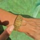 Omega Gilbert Albert Secret Time-Cage: Rare Maille d'Or-Bracelet