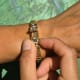 Omega Diamond-MatchStick Secret: Hidden Bracelet, DuoPlan, Gilbert Albert for Ladies