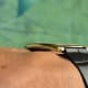 Piaget UltraThin Tank: 1.2mm, Curved WorldRecord, Cartier-esque