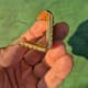 Piaget Clutch / Love Letter Pockewatch, Rare