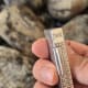 Piaget Lighter Brick: Fine & Rare Handcrafts, Unique