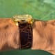 Seiko Hi-Beat Excellence, Linen-Dial Classic