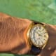 Seiko Hi-Beat Excellence, Linen-Dial Classic