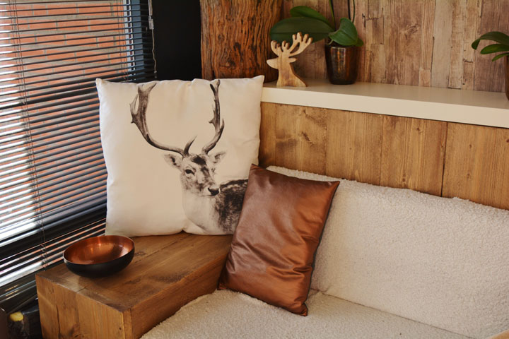 Couch Pillow