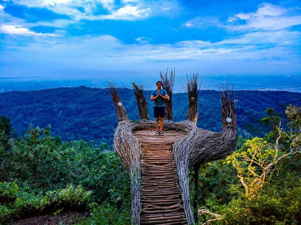 Hutan Pinus Pengger Travelisto Jogja