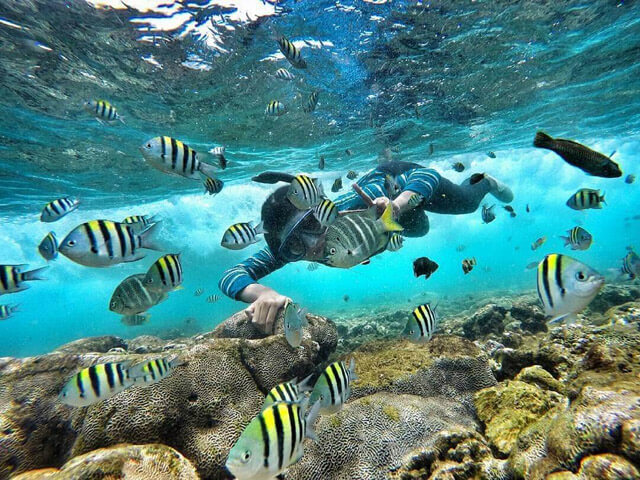 Snorkeling in Nglambor Beach