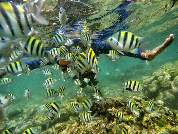 Snorkeling in Nglambor Beach.