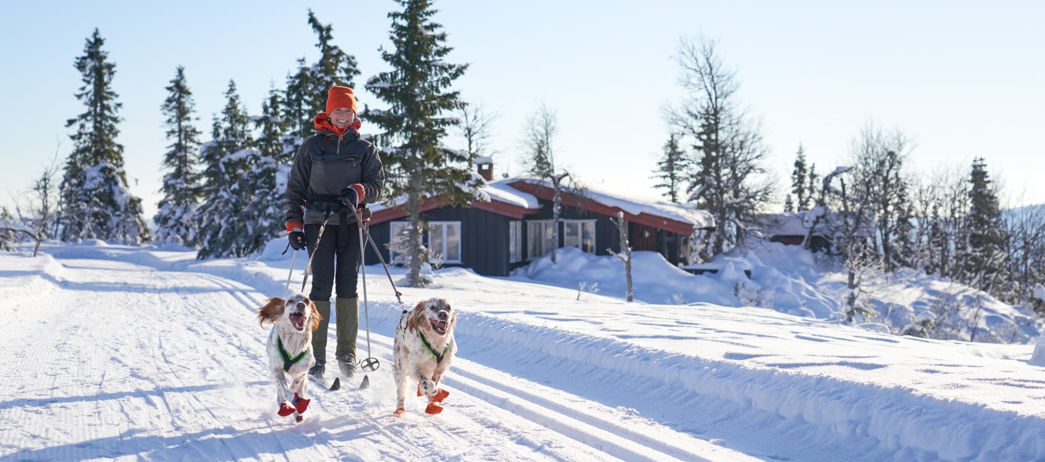 Kjøpe hytte på fjellet? Dette bør du tenke på