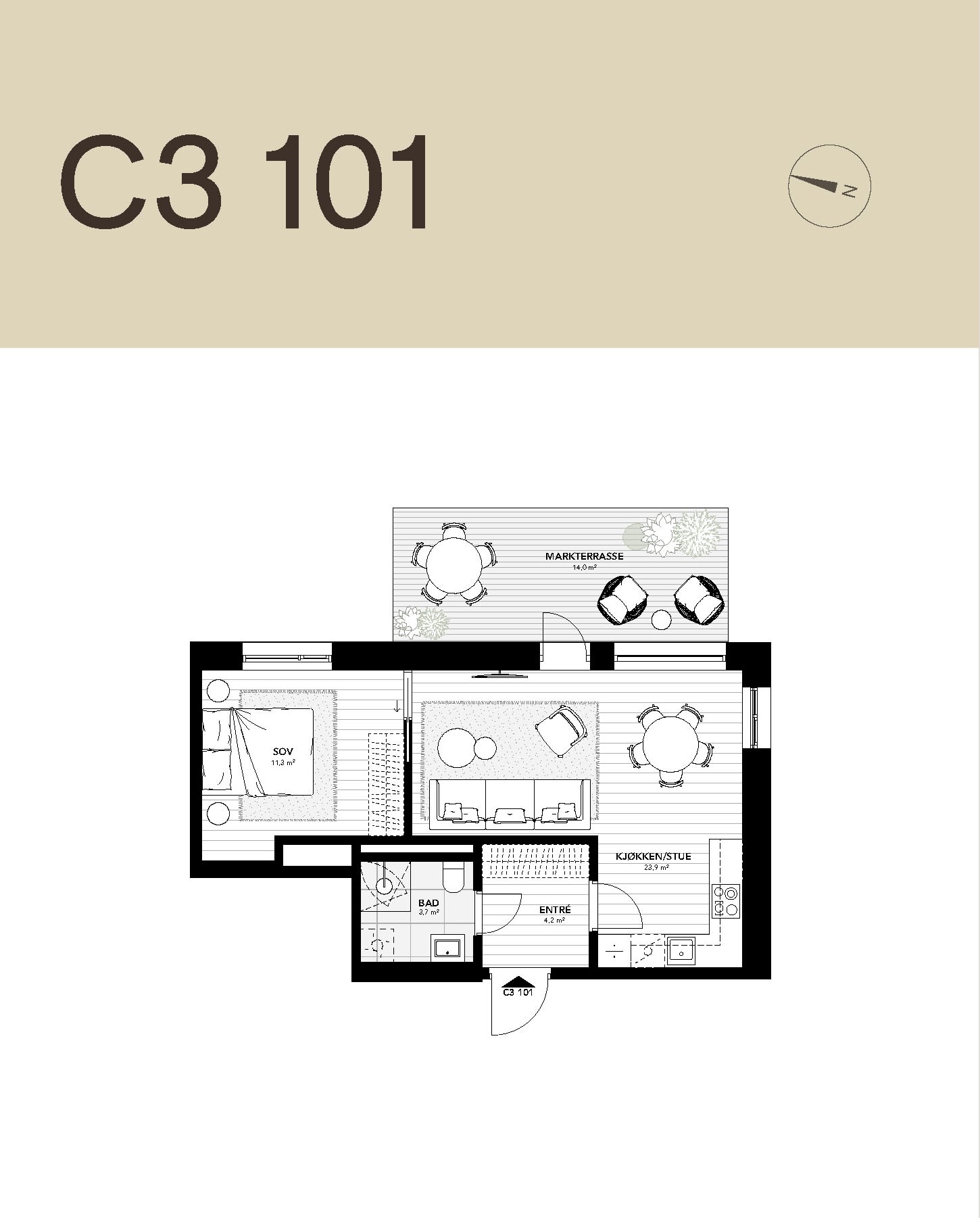 C3-101.jpg
