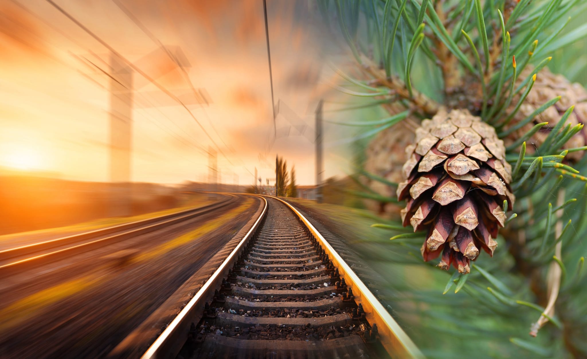 På Strømnesåsen i Råde kommer det nye eneboligtomter, leiligheter, rekkehus og attriumshus