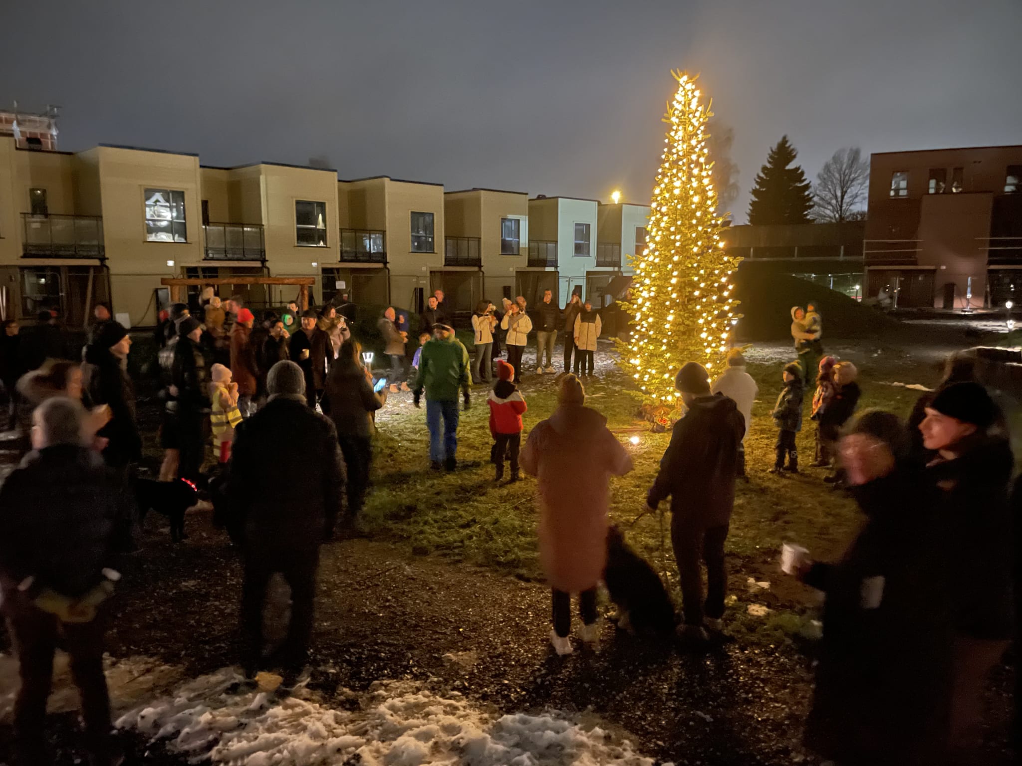 Julegrantenning på Fabeltunet 1. søndag i advent