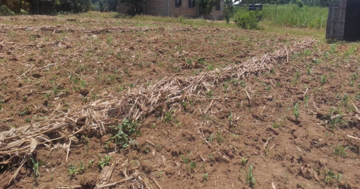Land on sale in bungoma kabula