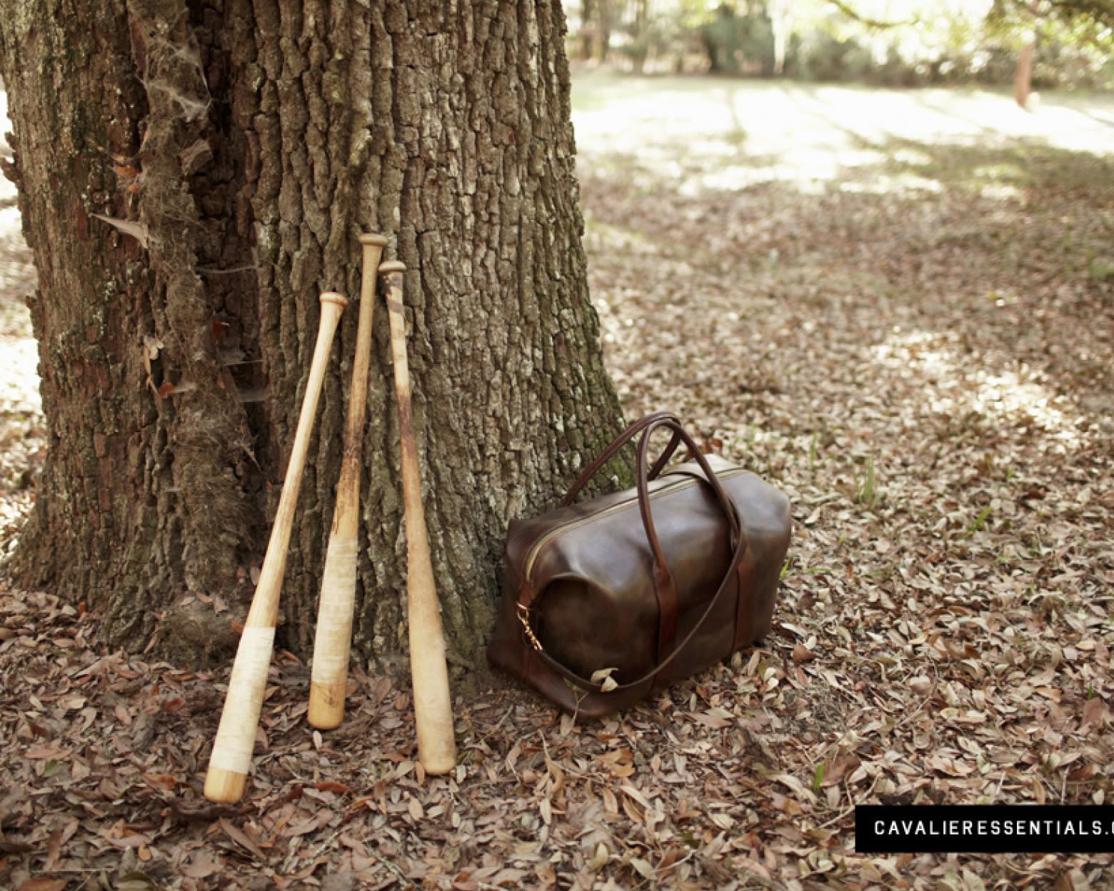 Cav wormsloe still life