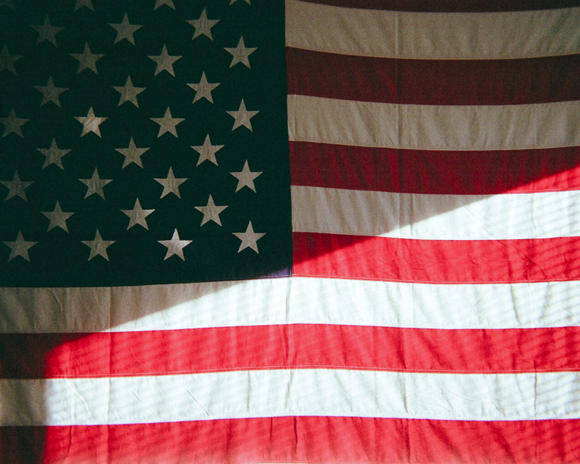 Cavalier american flag photo