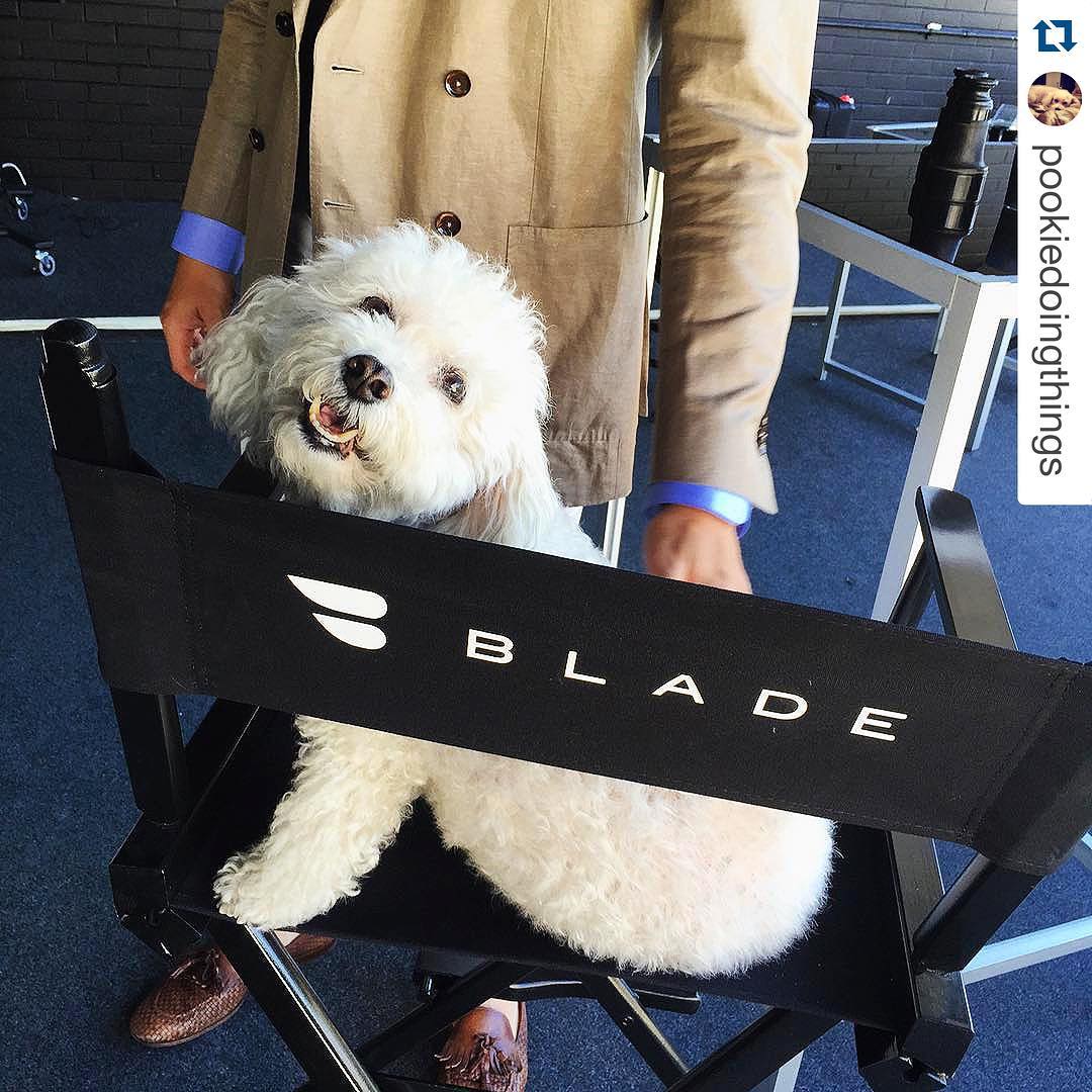 Blade dog director's chair