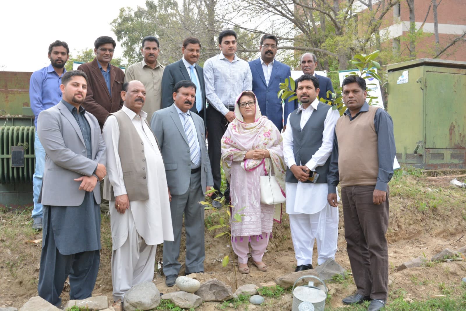 Tree Plantation Drive