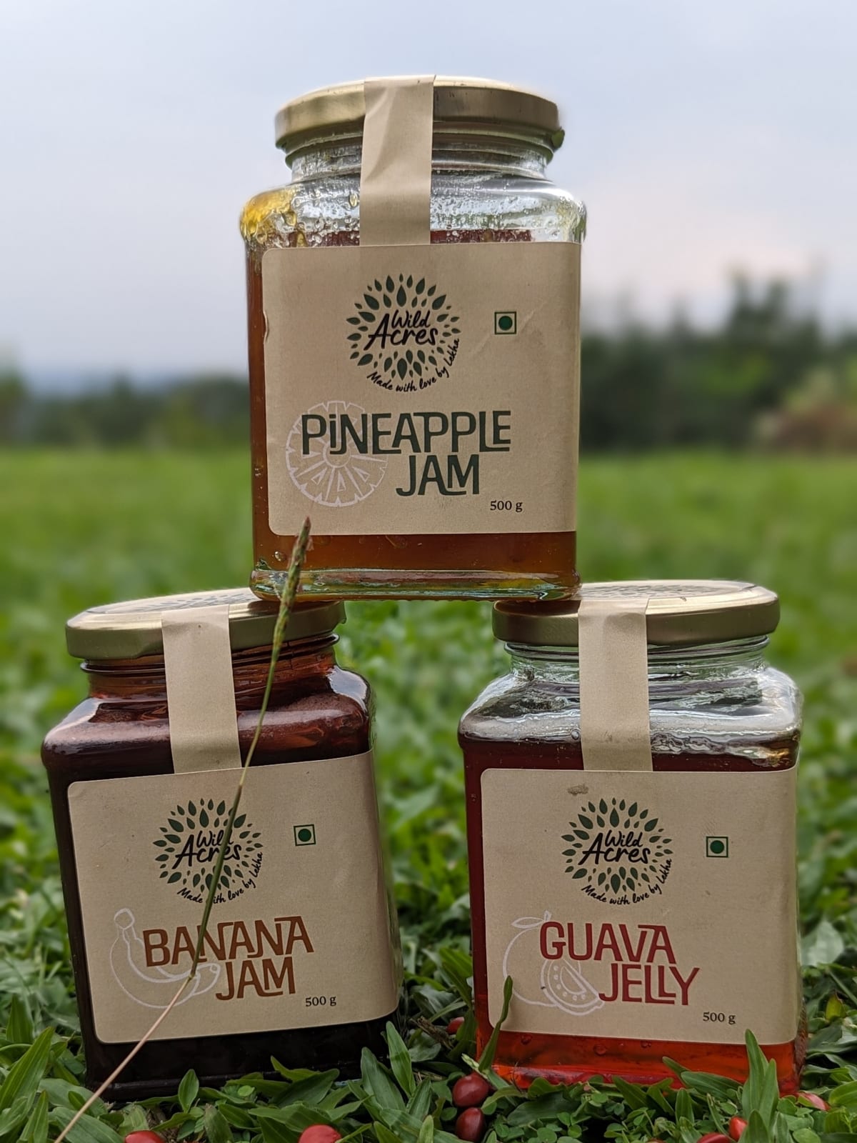 Promo image for Wild Acres About Us