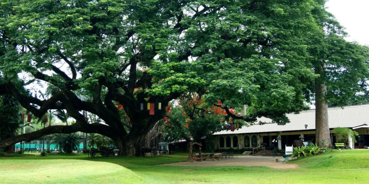 Picture of Chiengmai Gymkhana Club by Chiengmai Gymkhana Club