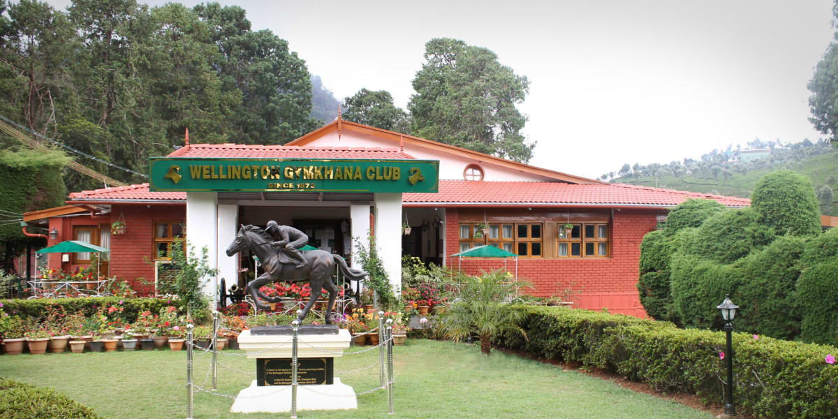 Picture of Wellington Gymkhana Club by Wellington Gymkhana Club