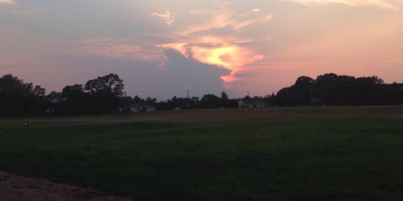 Picture of Boston Gymkhana Sports Club by Cam Fratus