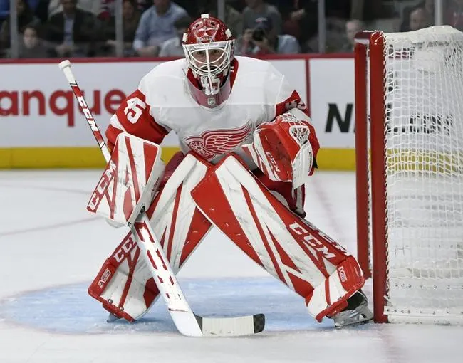 Leafs at Wings 10/12/19 - NHL Picks & Predictions
