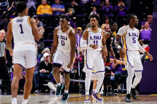 New Orleans at LSU 12/3/19 - College Basketball Picks & Predictions