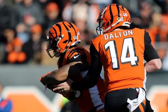 Patriots at Bengals 12/15/19 - NFL Picks & Predictions